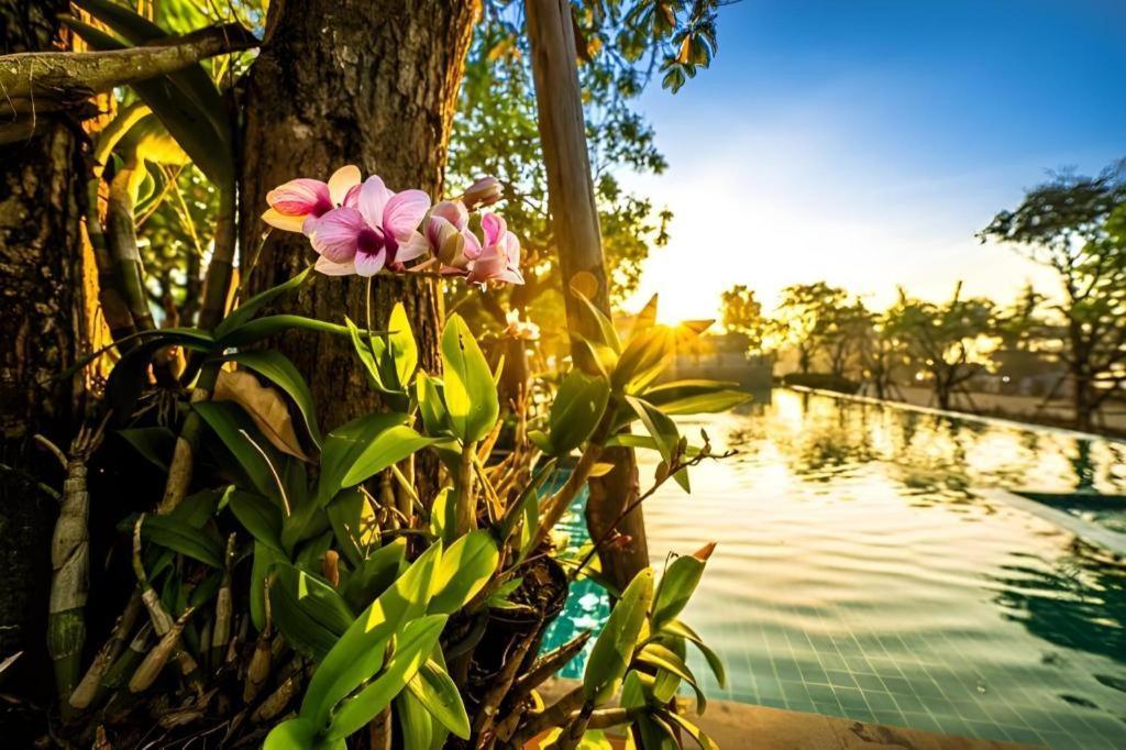 Chatnipa Beach Resort By Morseng Ban Hat Lek Zewnętrze zdjęcie
